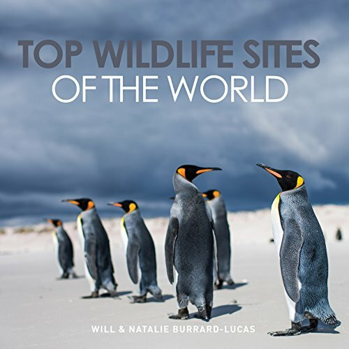 Top Wildlife Sites Of The World by Will & Natalie Burrard-Lucas, 9781921517594