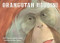 Orangutan Houdini by Laurel Neme, Kathie Kelleher, 9781593731533