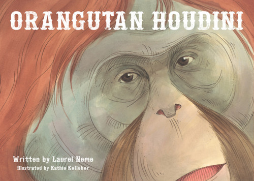 Orangutan Houdini by Laurel Neme, Kathie Kelleher, 9781593731533