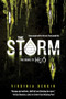 The Storm - 9781492621003 by Virginia Bergin, 9781492621003