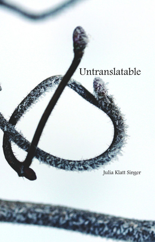 Untranslatable by Julia Klatt Singer, 9780878397891