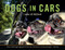 Dogs in Cars - 9781581574203 by Lara Jo Regan, 9781581574203