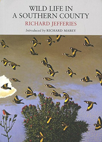 Wild Life in a Southern County by Richard Jefferies, Richard Mabey, C.F Tunnicliffe, 9781908213006