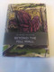 Beyond the Fell Wall by Richard Skelton, 9781908213297