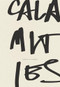 Calamities by Renee Gladman, 9781940696270