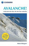 Avalanche! (Assess and reduce risks from Avalanches) (Miniature Edition) by Robert Bolognesi, 9781852844738