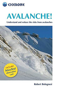 Avalanche! (Assess and reduce risks from Avalanches) by Robert Bolognesi, 9781852844738