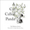 A Cat Called Panda by Melanie Arora, Charlie Brandon-King, 9781908985637