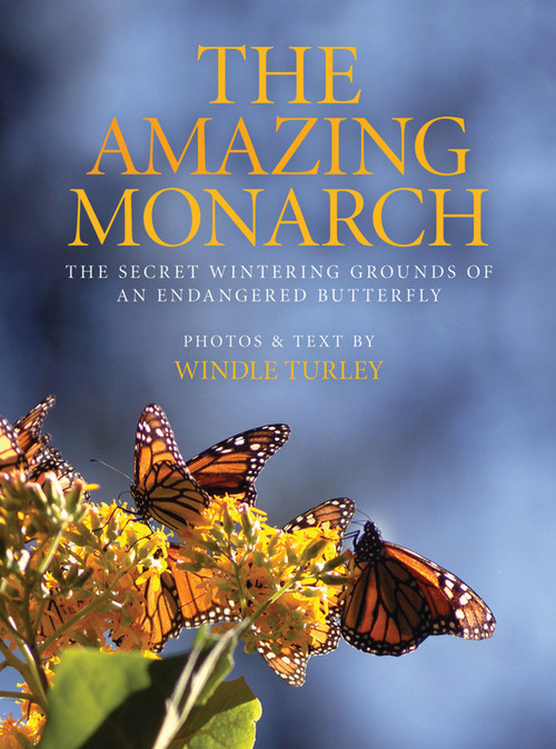 Amazing Monarch (The Secret Wintering Grounds of an Endangered Butterfly) by Windle Turley, 9780989220101
