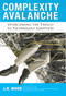 Complexity Avalanche (Overcoming the Threat to Technology Adoption) by J.B. Wood, 9780984213009