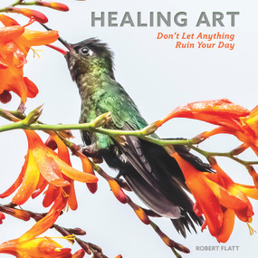 Healing Art (Don't Let Anything Ruin Your Day) by Robert Flatt, 9781942945253