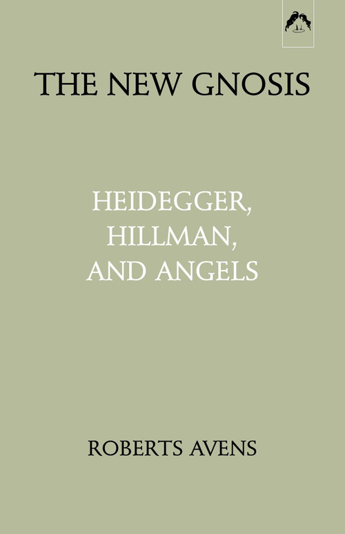New Gnosis (Heidegger, Hillman, and Angels) by Roberts Avens, 9780882143279