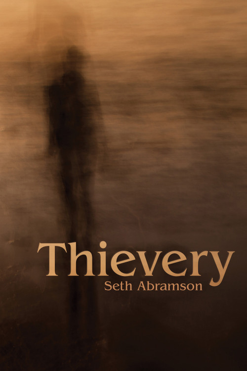 Thievery by Seth Abramson, 9781937378677