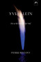 Yves Klein (Fire at the Heart of the Void) by Pierre Restany, 9780882145648