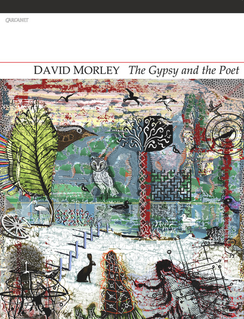 The Gypsy and the Poet by David Morley, 9781847771247