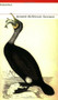 Nevermore - 9781903039021 by Andrew McNeillie, 9781903039021