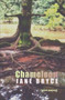 Chameleon (Short Stories) by Jane Bryce, 9781845230418