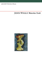 Waterloo Teeth by John Whale, 9781847771117