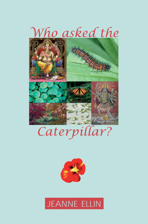 Who Asks the Caterpillar? by Jeanne Ellin, 9781900715966