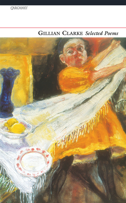 Gillian Clarke: Selected Poems by Gillian Clarke, 9780856355943