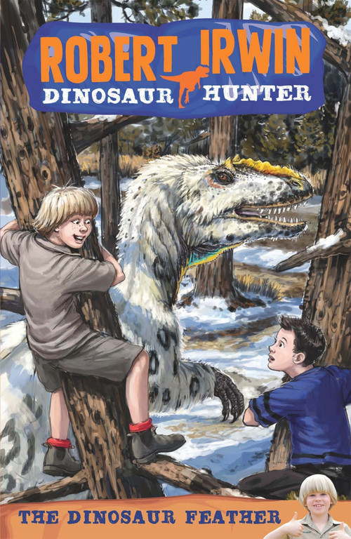 The Dinosaur Feather by Robert Irwin, 9781742750927