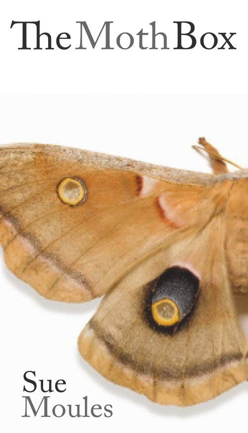 The Moth Box by Sue Moules, 9781909844070