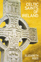 Celtic Saints of Ireland by Elizabeth Rees, 9780752477404