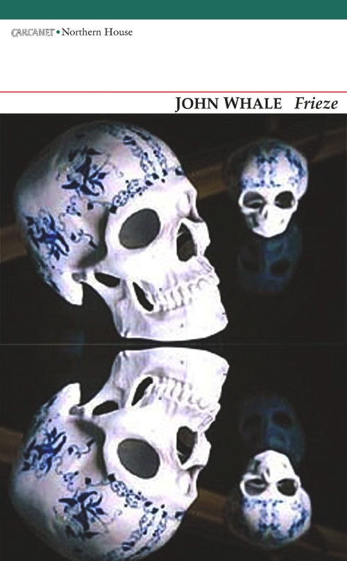 Frieze by John Whale, 9781847772398