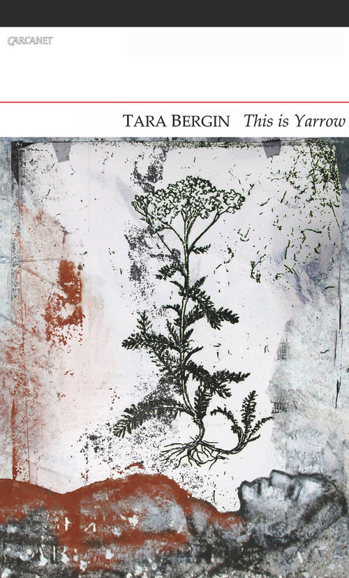 This Is Yarrow by Tara Bergin, 9781847772367