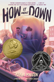 How It Went Down - 9781250068231 by Kekla Magoon, 9781250068231