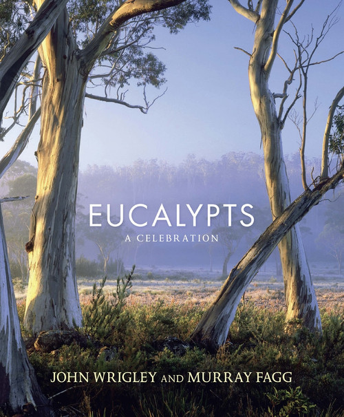 Eucalypts (A Celebration) by John Wrigley, Murray Fagg, 9781743310809