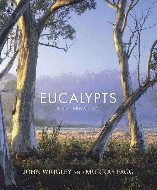 Eucalypts (A Celebration) by John Wrigley, Murray Fagg, 9781743310809