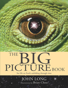 The Big Picture Book by John Long, Brian Choo, 9781741143287