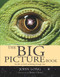 The Big Picture Book by John Long, Brian Choo, 9781741143287