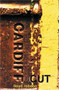 Cardiff Cut by Lloyd Robson, 9781902638164