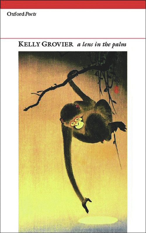 A Lens in the Palm by Kelly Grovier, 9781903039885