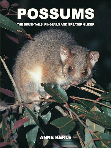 Possums (The Brushtails, Ringtails and Greater Glider) by Anne Kerle, 9780868404196