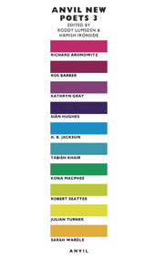 Anvil New Poets 3 by Hamish Ironside, Roddy Lumsden, 9780856462832