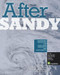After Sandy (Advancing Strategies for Long-Term Resilience and Adaptability) by Urban Land Institute, 9780874202922