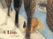 A Lion in Paris by Beatrice Alemagna, 9781849761710