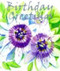 Birthday Greetings by Olivia Warburton, 9780745944159