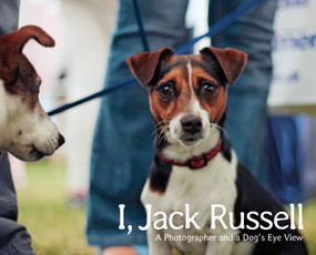 I, Jack Russell (A Photographer and a Dog's Eye View) by Andy Hughes, John Bradshaw, Alexandra Horowitz, 9781861543219