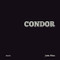 Condor by João Pina, 9788498017830