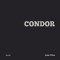 Condor (Spanish Edition) by João Pina, 9788498017830