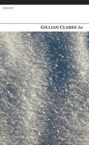 Ice - 9781847771995 by Gillian Clarke, 9781847771995