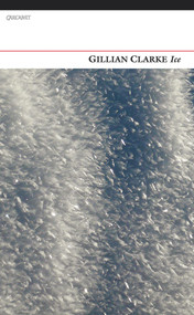 Ice - 9781847771995 by Gillian Clarke, 9781847771995