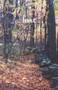 Lost and Certain of It by Bryce Milligan, 9781899179992
