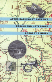 After Bathing at Baxter's (Essays and Notebooks) by Gregory O'Brien, 9780864734181