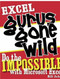 Excel Gurus Gone Wild (Do the IMPOSSIBLE with Microsoft Excel) by Bill Jelen, 9781932802405