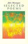 Selected Poems - 9780916390150 by John Montague, 9780916390150